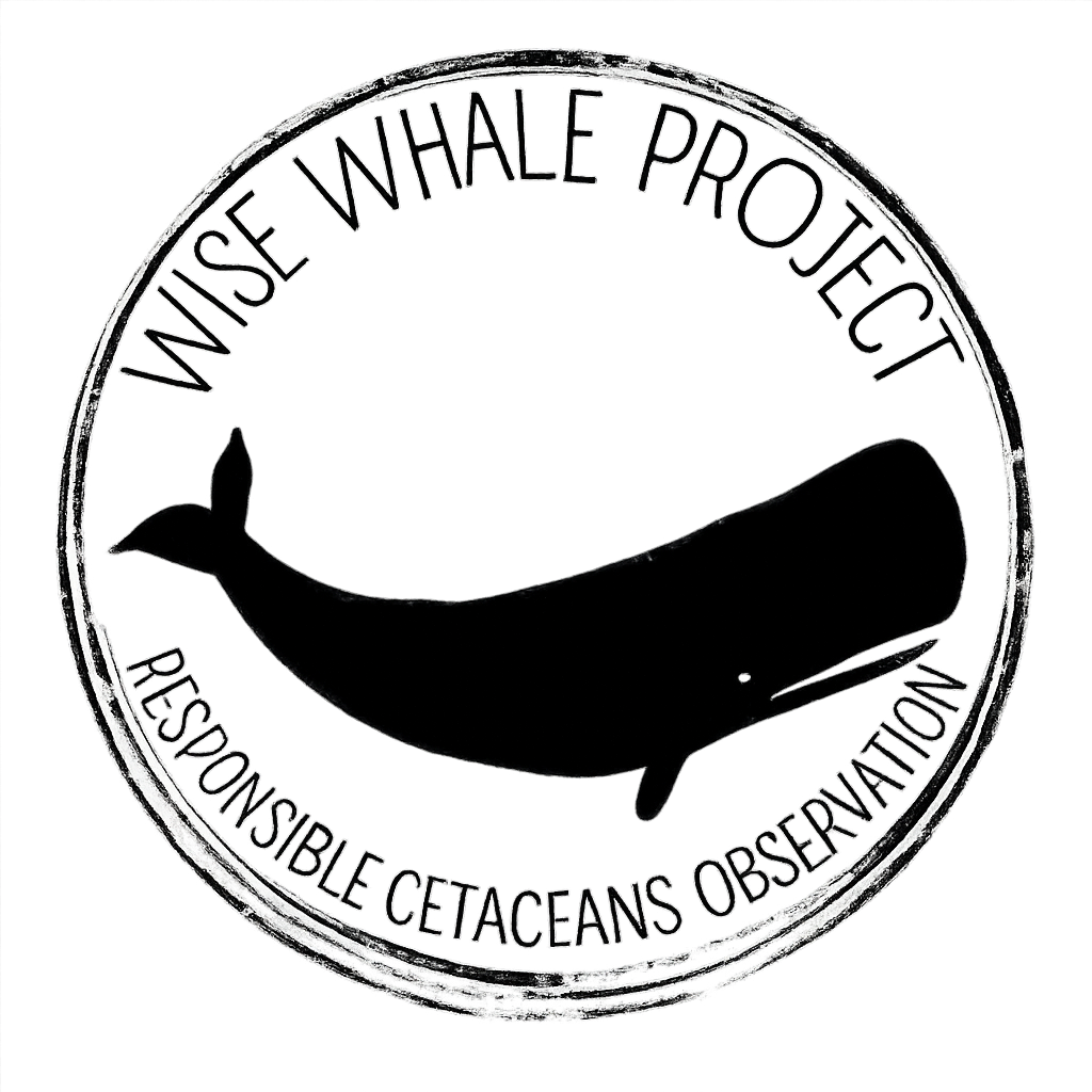 Wise Whale Project